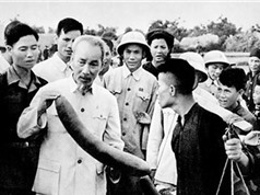 Vài suy nghĩ về việc thực hiện những lời khuyên và ước vọng đạo đức cao cả của Chủ tịch Hồ Chí Minh